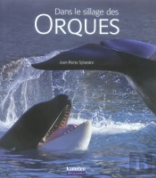 Dans Le Sillage Des Orques
