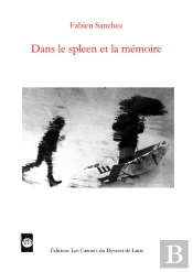 Dans Le Spleen Et La Mémoire