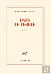 Dans Le Visible