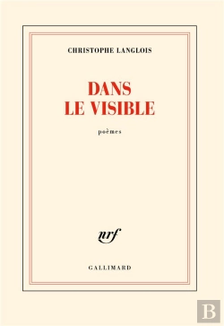 Bertrand.pt - Dans Le Visible