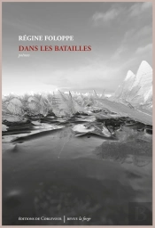 Dans Les Batailles