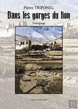 Bertrand.pt - Dans Les Gorges Du Lion
