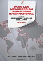 Dans Les Méandres Du Djihadisme International Tome 1 : Origines Et Évolutions Des Califats