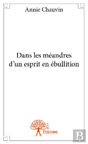 Dans Les Meandres D'Un Esprit En Ebullition