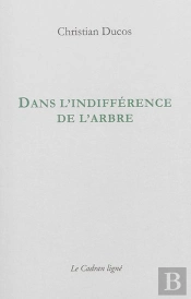 Dans L'Indifference De L'Arbre