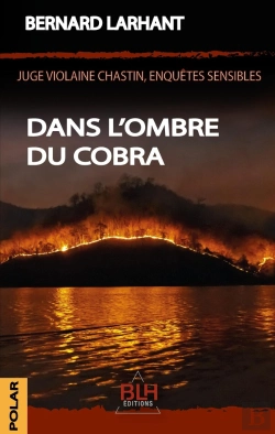 Bertrand.pt - Dans L'Ombre Du Cobra