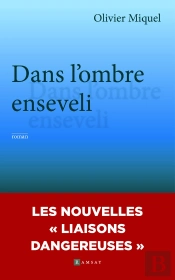 Dans L'Ombre Enseveli