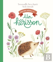 Dans Mon Jardin Il Y A... : Un Hérisson