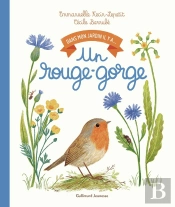 Dans Mon Jardin Il Y A... : Un Rouge-Gorge