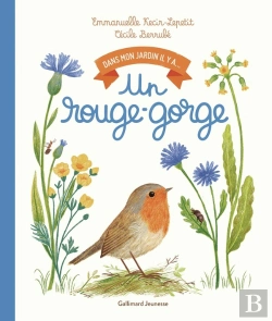 Bertrand.pt - Dans Mon Jardin Il Y A... : Un Rouge-Gorge