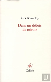 Dans Un Débris De Miroir