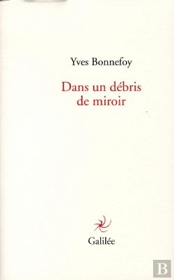 Bertrand.pt - Dans Un Débris De Miroir