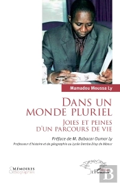 Dans Un Monde Pluriel : Joies Et Peines D'Un Parcours De Vie