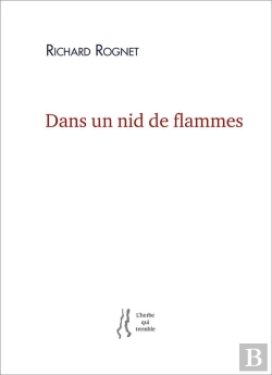 Bertrand.pt - Dans Un Nid De Flammes