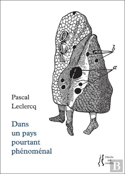 Bertrand.pt - Dans Un Pays Pourtant Phénomenal
