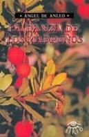 Danza De Los Madroños, La