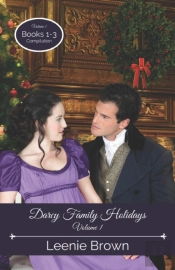 Darcy Family Holidays, Volume 1: Books 1