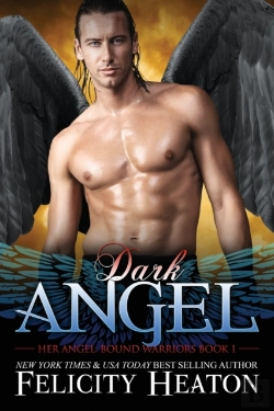 Bertrand.pt - Dark Angel