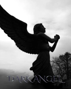 Bertrand.pt - Dark Angel Journal
