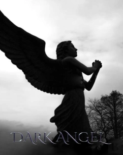 Bertrand.pt - Dark Angel