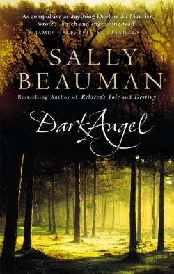 Bertrand.pt - Dark Angel