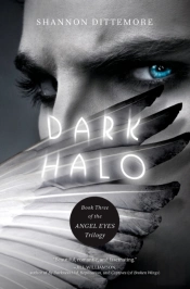 Dark Halo