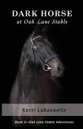 Dark Horse At Oak Lane Stable (Book 3 Of 3)