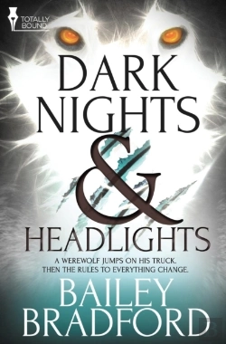 Bertrand.pt - Dark Nights And Headlights