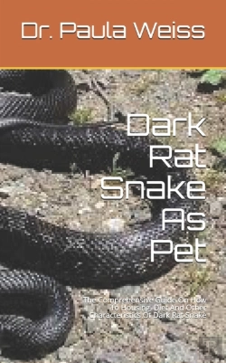 Bertrand.pt - Dark Rat Snake As Pet
