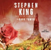 Dark Tower Vii