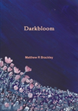 Bertrand.pt - Darkbloom