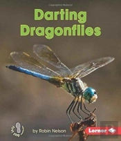 Darting Dragonflies
