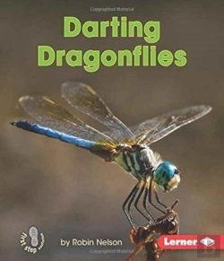 Bertrand.pt - Darting Dragonflies