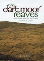 Dartmoor Reaves