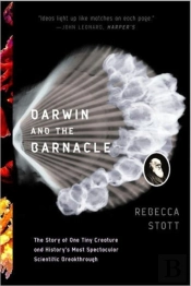 Darwin And The Barnacle