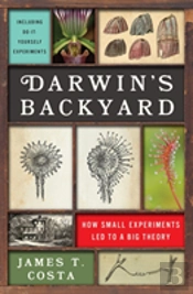 Darwin'S Backyard