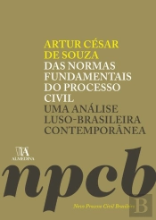 Das Normas Fundamentais Do Processo Civil -1°Ed