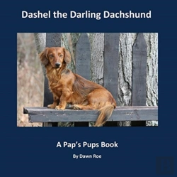 Bertrand.pt - Dashel The Darling Dachshund