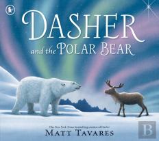 Dasher And The Polar Bear