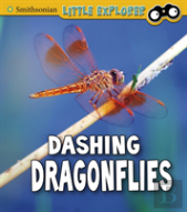 Dashing Dragonflies