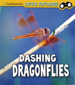 Bertrand.pt - Dashing Dragonflies
