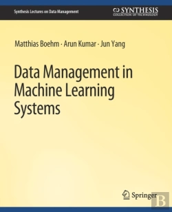 Bertrand.pt - Data Management In Machine Learning Systems