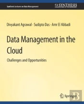 Data Management In The Cloud