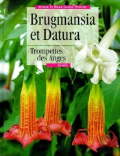 Daturas Et Brugmansias