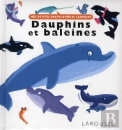 Dauphins Et Baleines