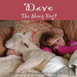 Bertrand.pt - Dave The Sheep Dog?