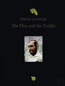 Bertrand.pt - David Altmejd: The Flux And The Puddle