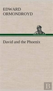 David And The Phoenix