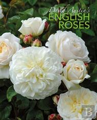 David Austin'S English Roses
