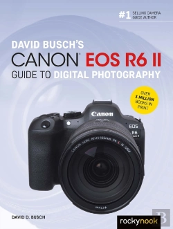 Bertrand.pt - David Busch'S Canon Eos R6 Ii Guide To Digital Photography